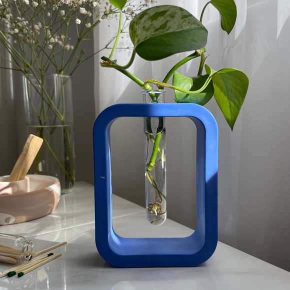 Propagation Vase - Picture 5 of 9